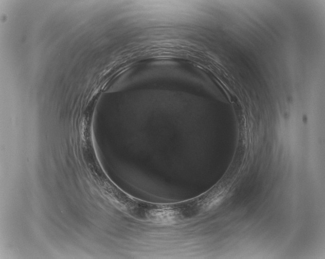 X0000056340219200508261254
