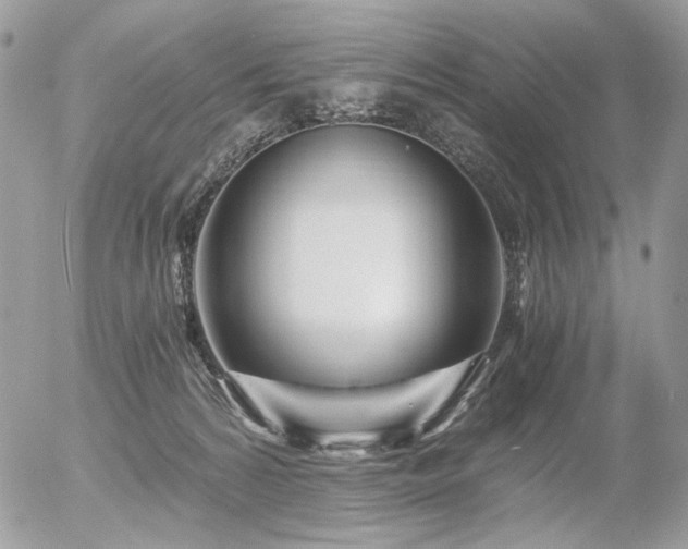 X0000056340224200508261254