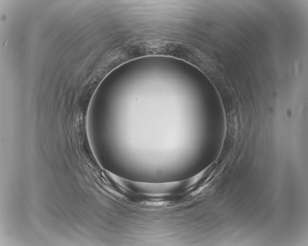 X0000056340225200508261254
