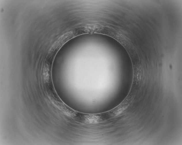X0000056340226200508261254