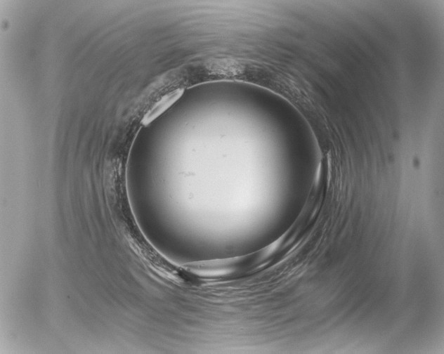 X0000056340229200508261254