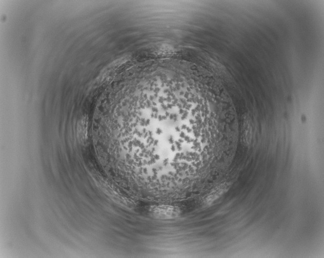 X0000056340230200508261254