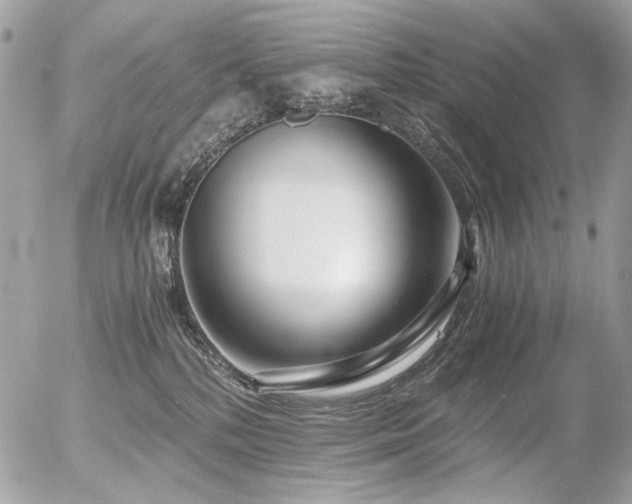 X0000056340232200508261254