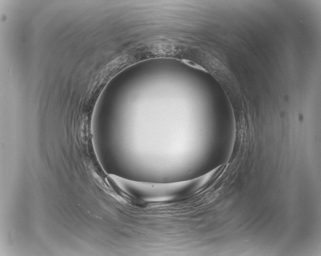 X0000056340233200508261254