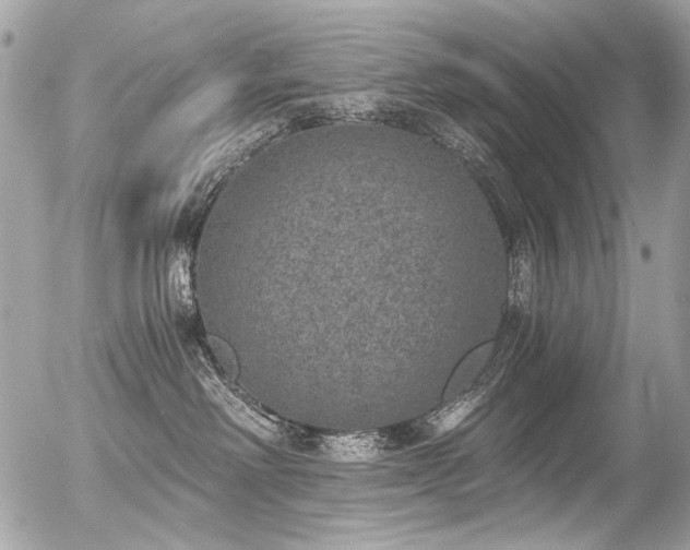 X0000056340238200508261254
