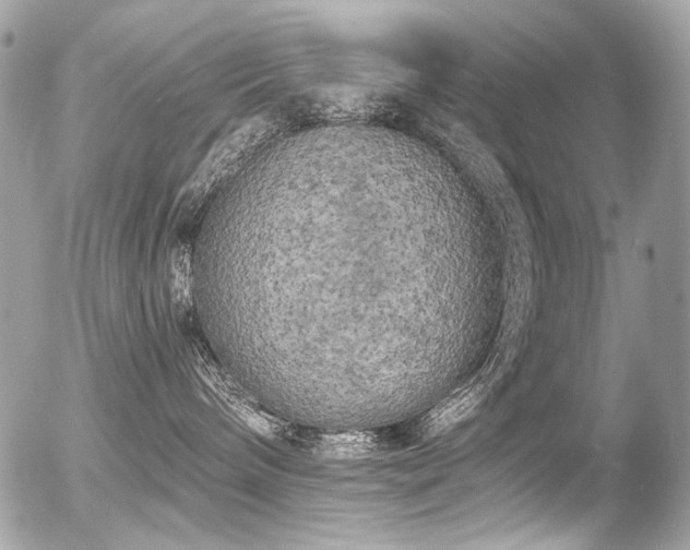 X0000056340240200508261254