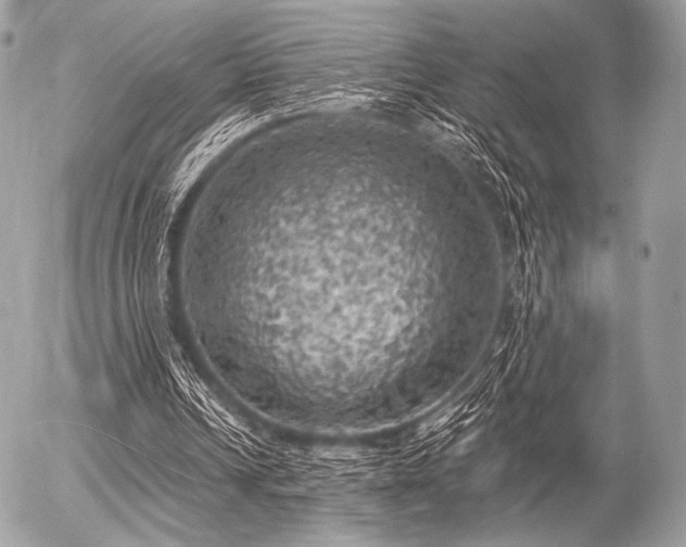 X0000056340242200508261253