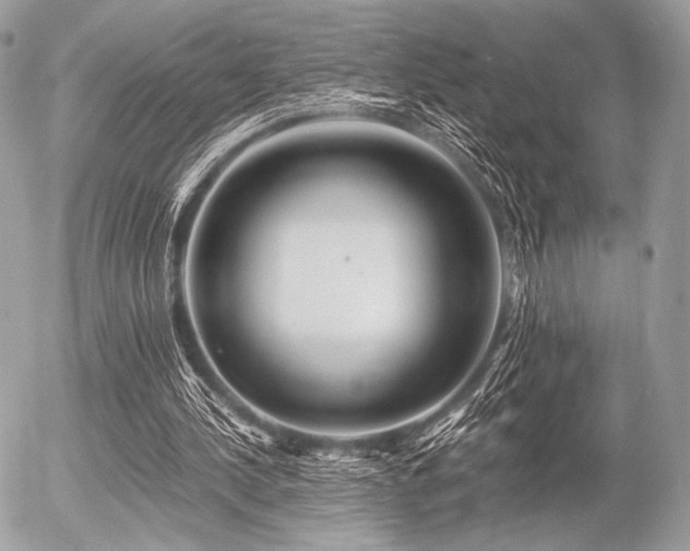 X0000056340244200508261253