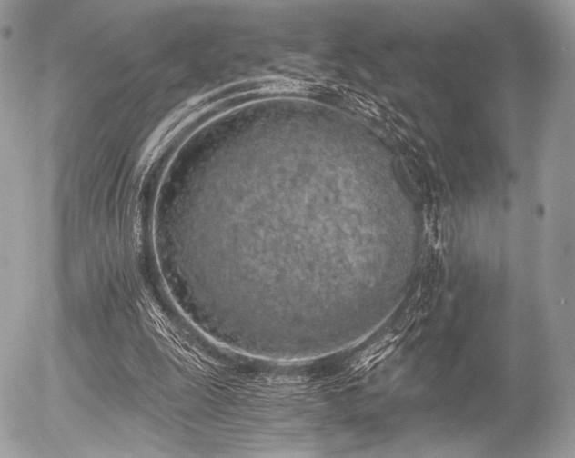X0000056340247200508261253