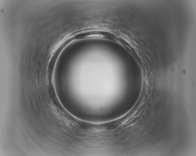 X0000056340248200508261253