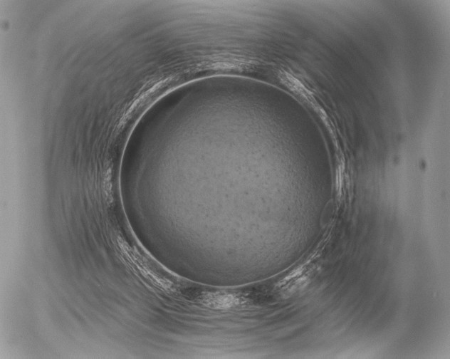 X0000056340249200508261253