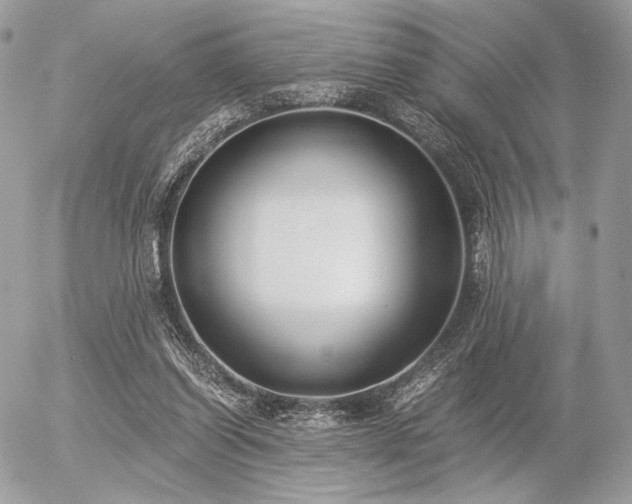 X0000056340254200508261253