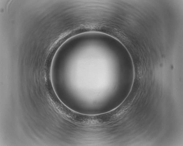 X0000056340256200508261253