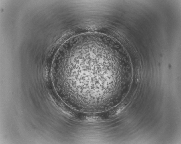 X0000056340268200508261253