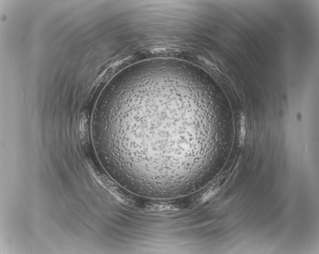 X0000056340276200508261254