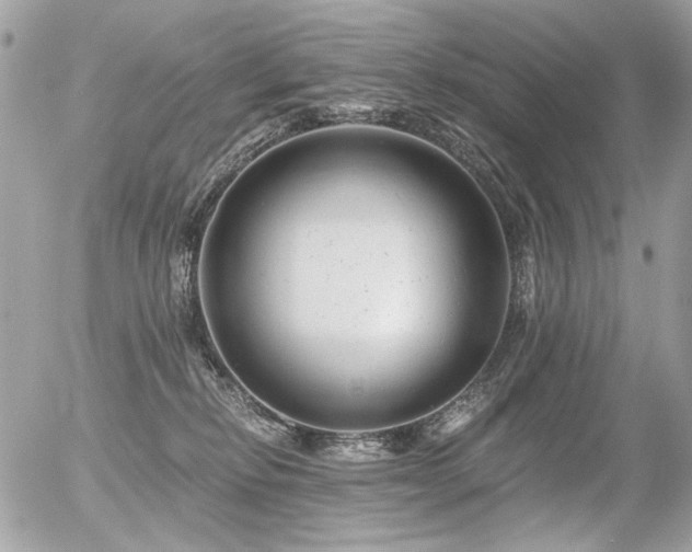 X0000056340278200508261254