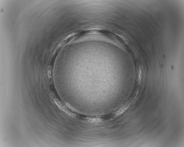 X0000056340284200508261254