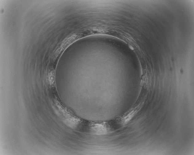 X0000056340285200508261254