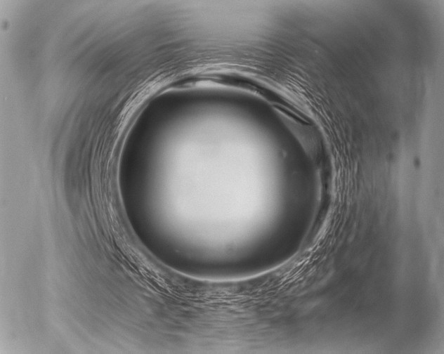 X0000056340289200508261253