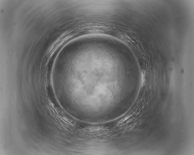 X0000056340291200508261253
