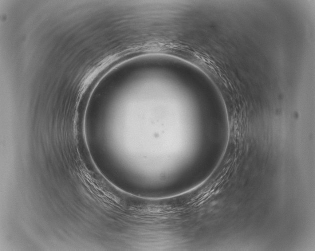 X0000056340292200508261253
