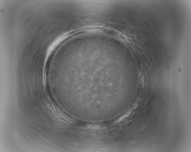 X0000056340294200508261253