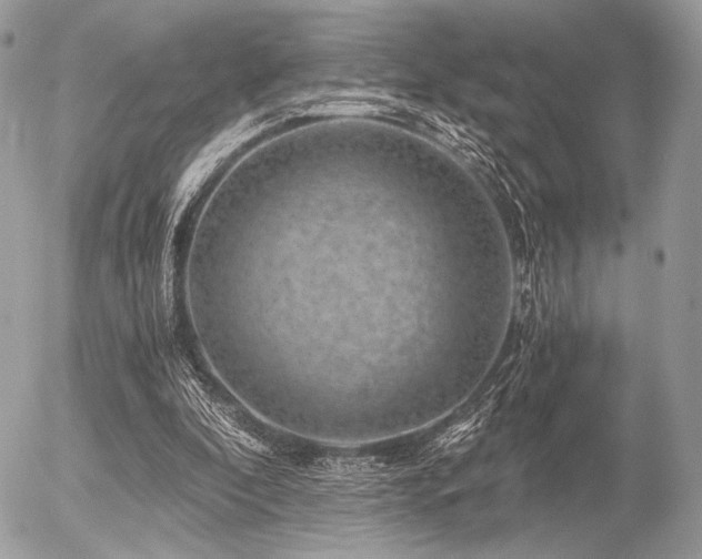 X0000056340296200508261253