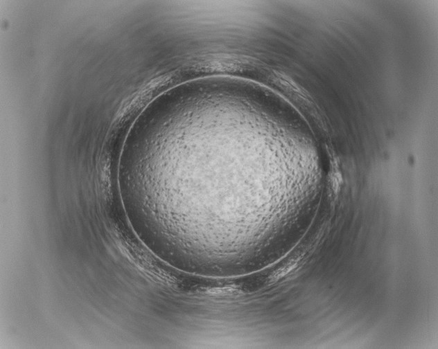 X0000056340306200508261253