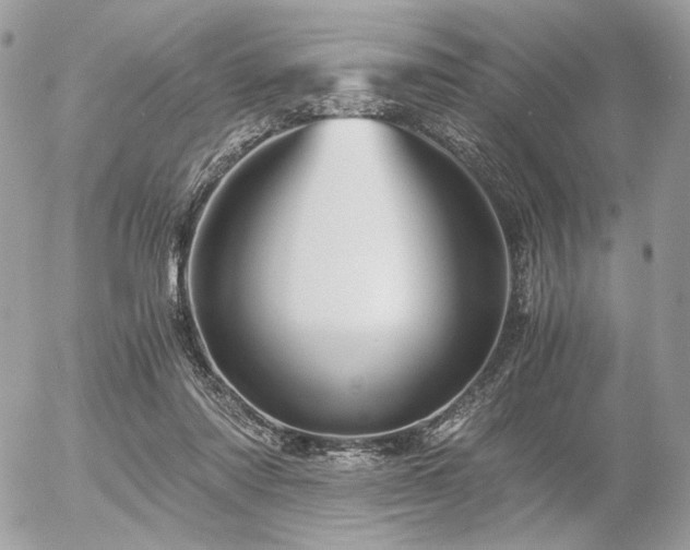 X0000056340310200508261253