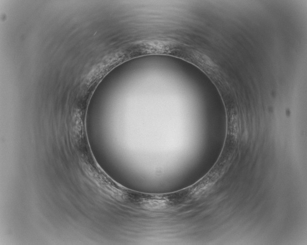 X0000056340318200508261252