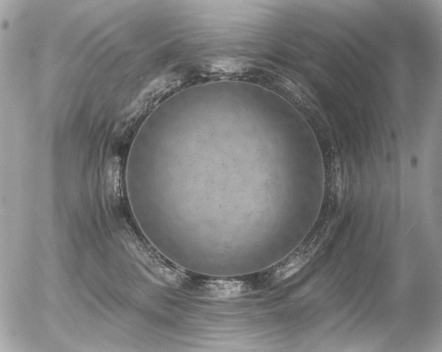 X0000056340328200508261252