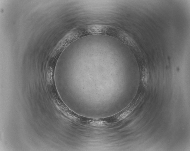 X0000056340332200508261252