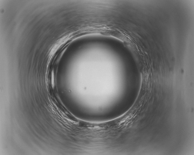 X0000056340340200508261251