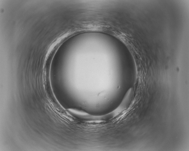 X0000056340342200508261251