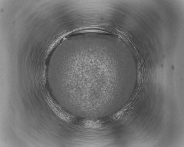 X0000056340346200508261252