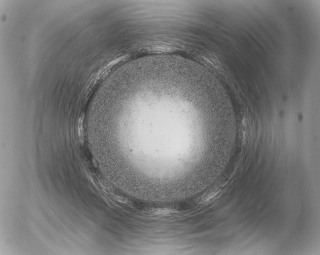 X0000056340360200508261252