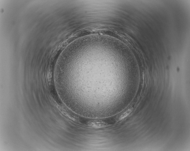 X0000056340372200508261252