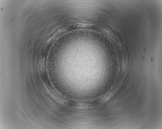 X0000056340376200508261252