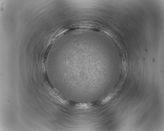 X0000056340381200508261252