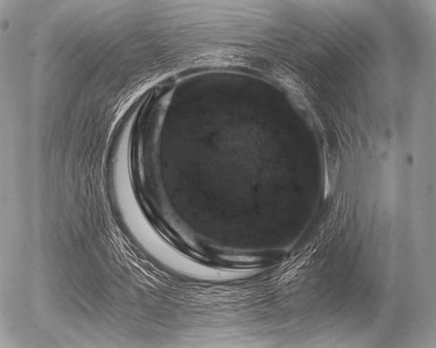 X0000056340387200508261251