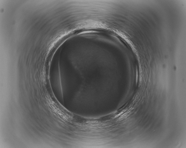 X0000056340391200508261251