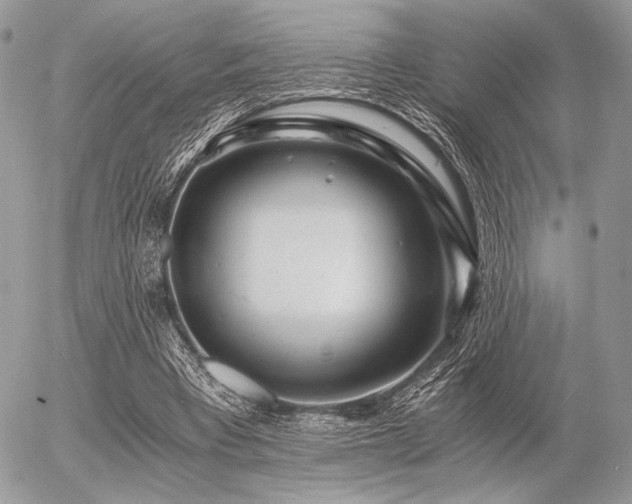 X0000056340393200508261251