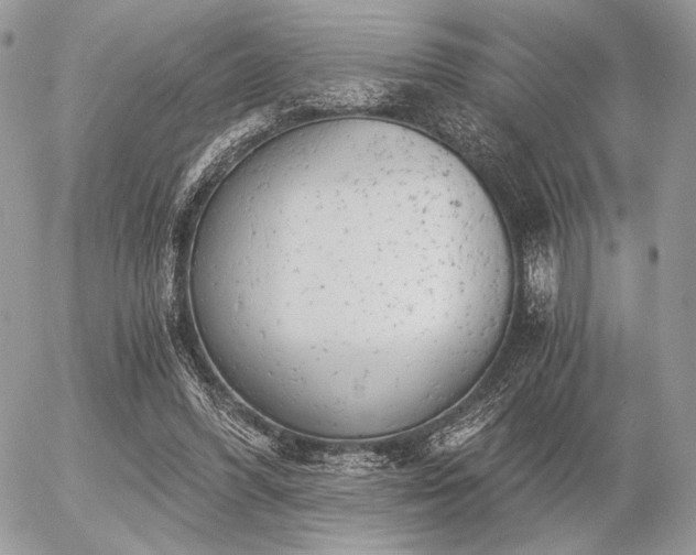 X0000056340396200508261251