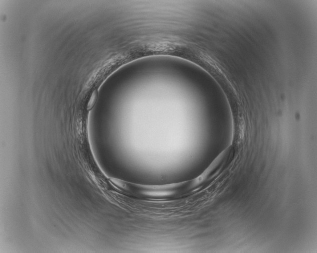 X0000056340407200508261251