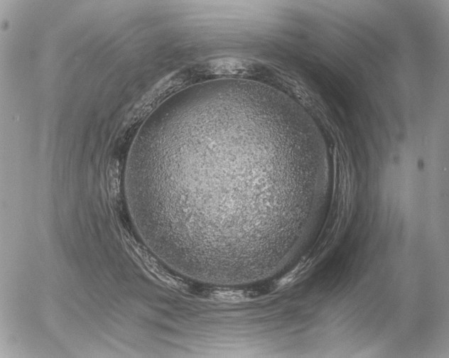 X0000056340413200508261251
