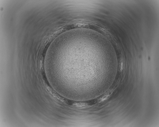 X0000056340417200508261251
