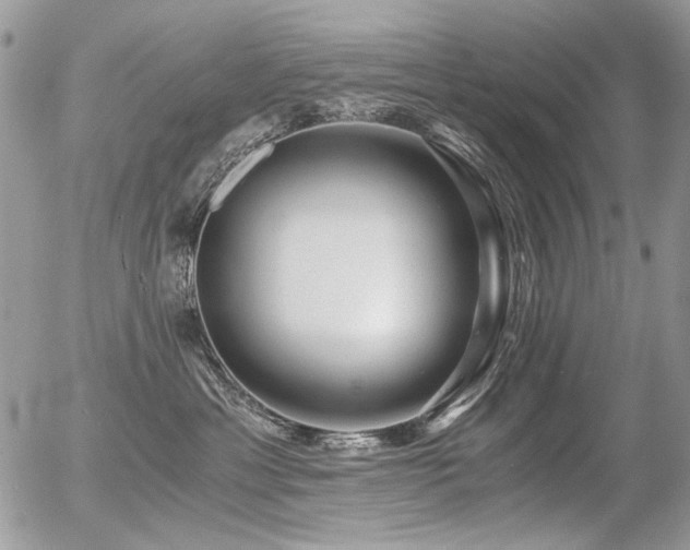 X0000056340429200508261251