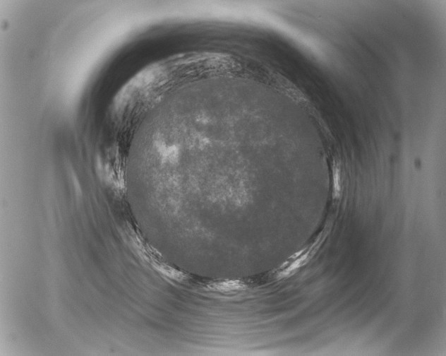 X0000056340431200508261251