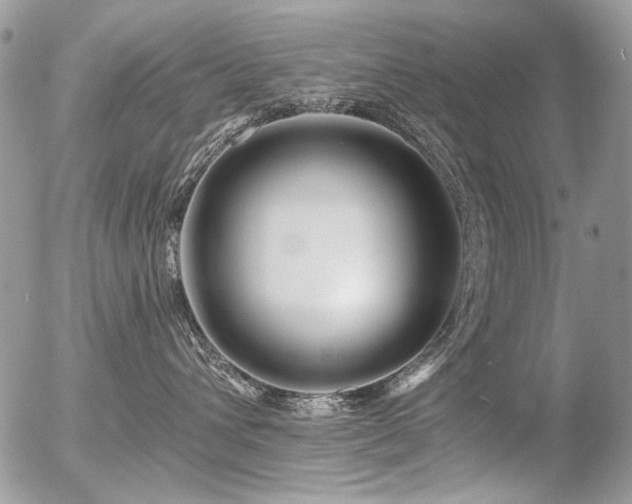 X0000056340432200508261251