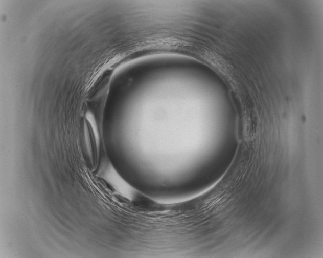 X0000056340434200508261250